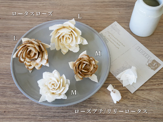 ソラフラワー.png
