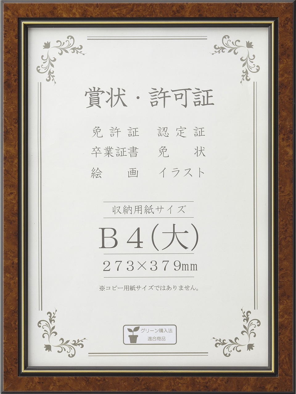 J491-B2971
