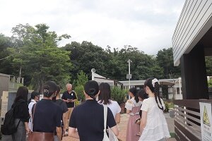 IMG_8874.jpeg